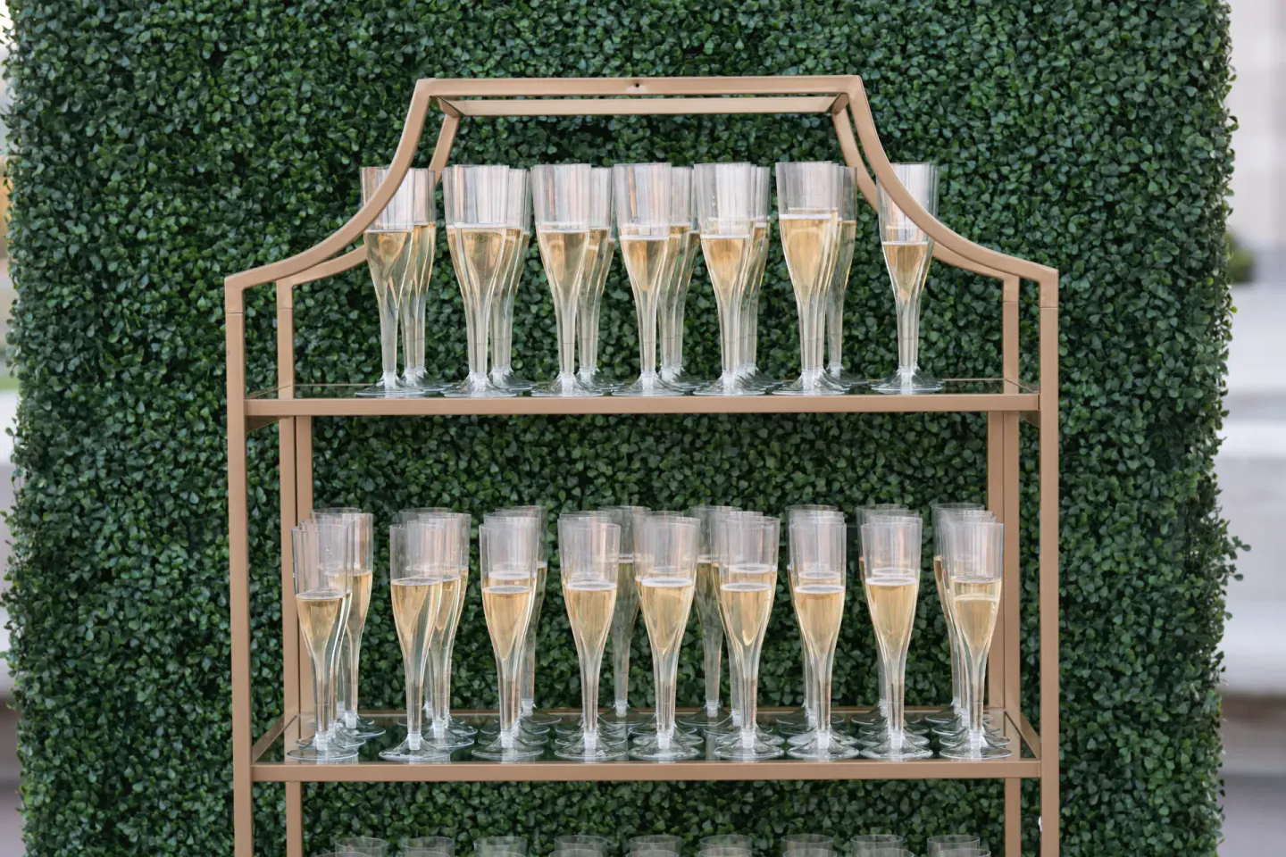 Champagne flutes on a hedge wall at EO XCentric, Cincinnati, 2022
